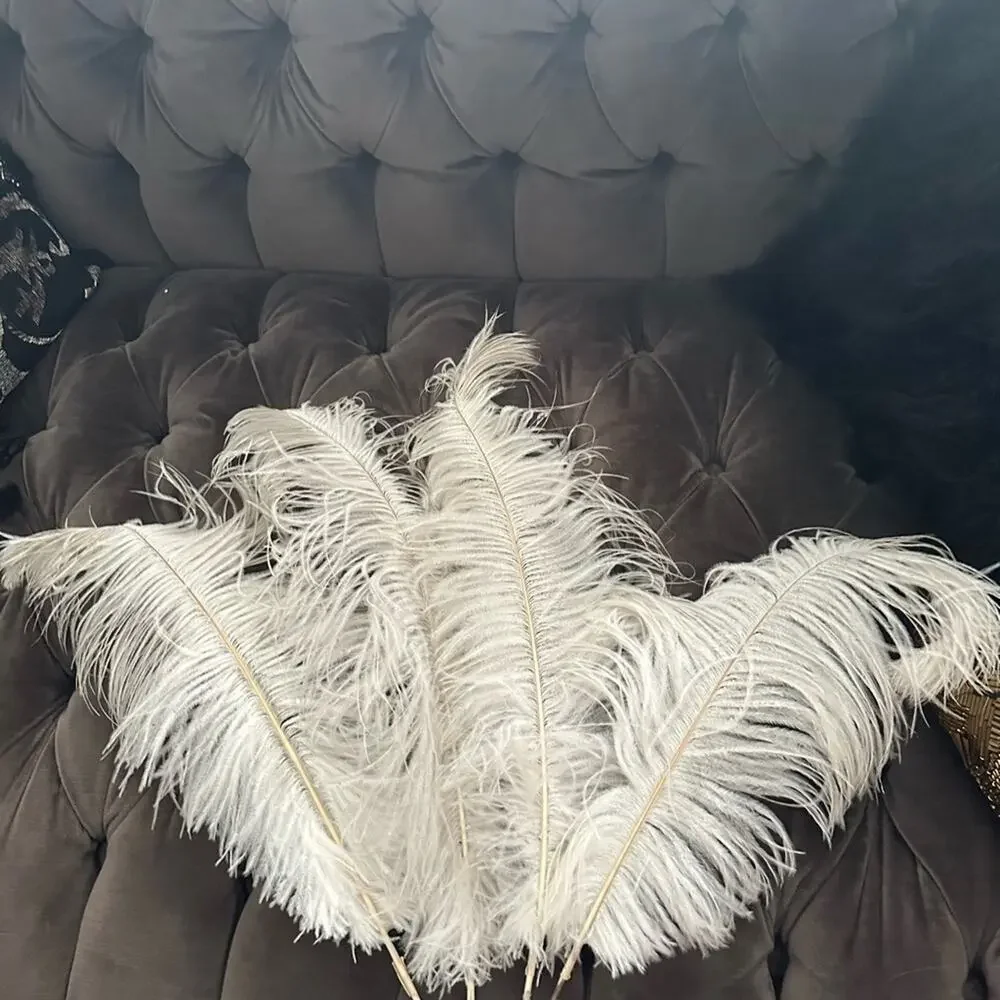 Real Ostrich Feathers 4 large Home Accent